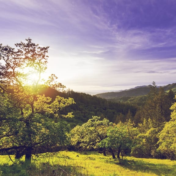 Live Your Best Life in Rancho Bernardo, San Diego Apartments